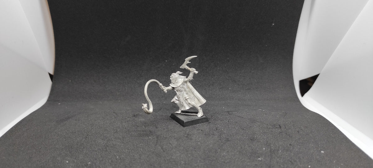 (1) Assassin Beastmaster Converted Dark Elves Warhammer Fantasy Miniatures -2048-