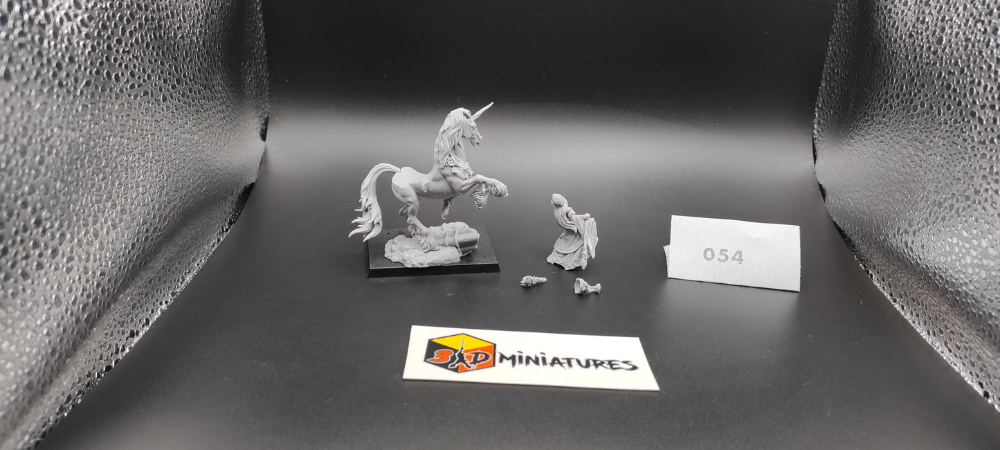 (1) Bretonnia Lady Élisse Duchaard Resin Warhammer Fantasy Miniatures -054-