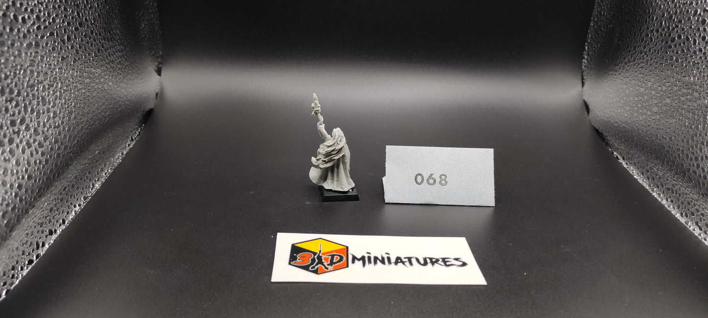 (1) Bretonnia Prophetesses of the Lady Resin Warhammer Fantasy Miniatures -068-