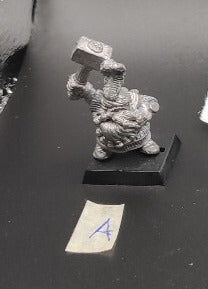 (1) Dwarf Hammerers Warhammer Fantasy Miniatures -1003-