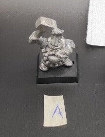 (1) Dwarf Hammerers Warhammer Fantasy Miniatures -1003-