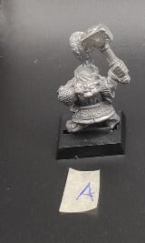 (1) Dwarf Hammerers Warhammer Fantasy Miniatures -1003-