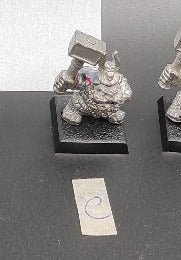 (1) Dwarf Hammerers Warhammer Fantasy Miniatures -1055-