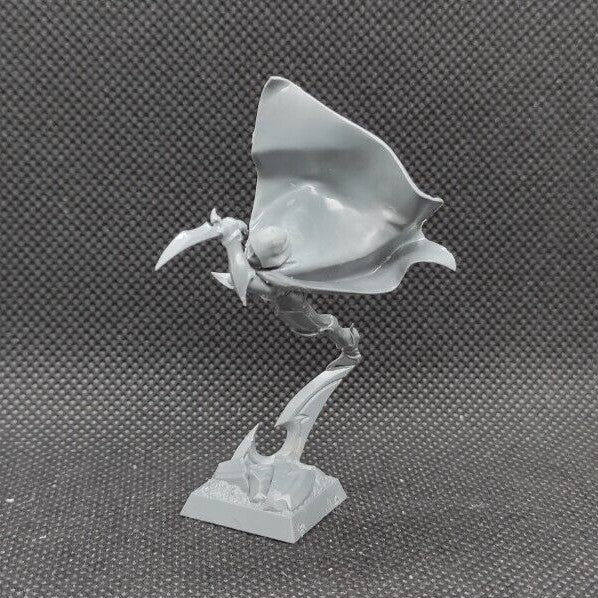 (1) Assassin Dark Elves Warhammer Fantasy Miniatures -1664-