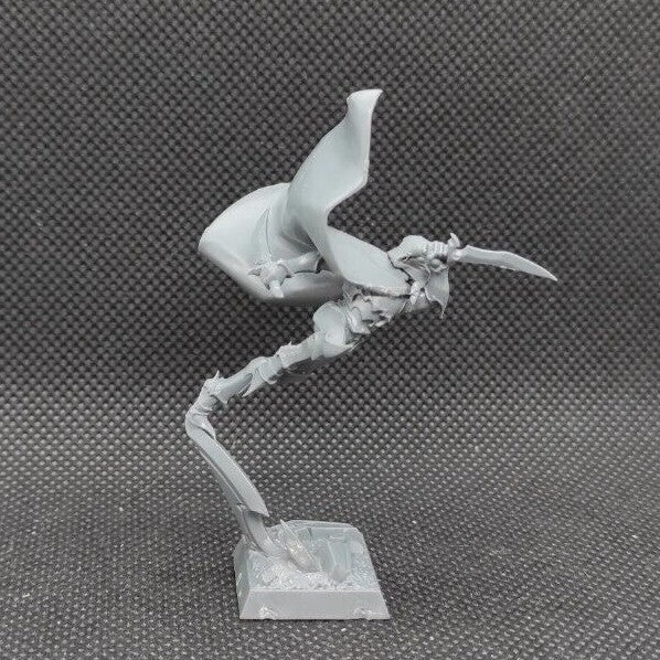(1) Assassin Dark Elves Warhammer Fantasy Miniatures -1664-