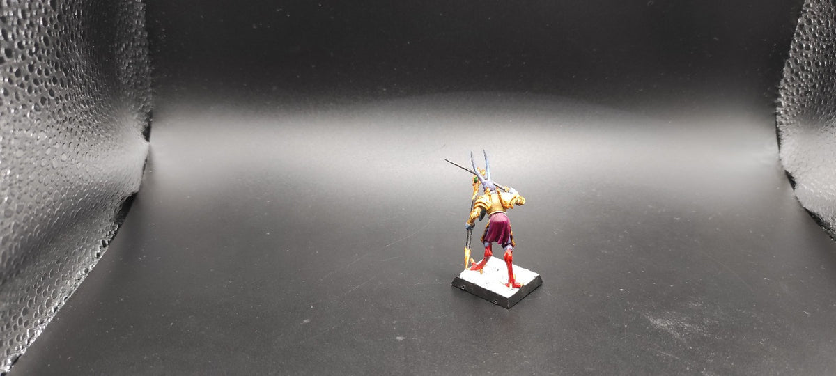 (1) Herald Champion of Tzeentch Daemons of Chaos Warhammer Fantasy Miniatures -2483-