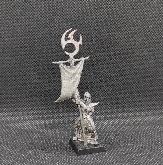 (1) Executioners Standard Bearer Metal Dark Elves Warhammer Fantasy Miniatures -1666-