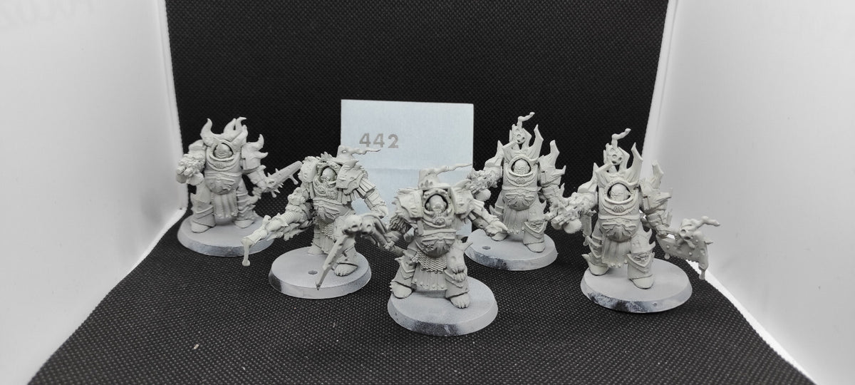 (5) Blightlord Terminators Death Guard Chaos Space Marines Warhammer 40k -2081-
