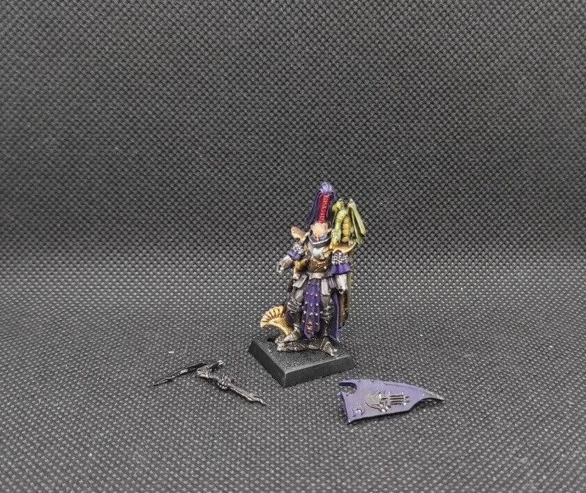 (1) Dark Elf Master Metal Dark Elves Warhammer Fantasy Miniatures -1668-