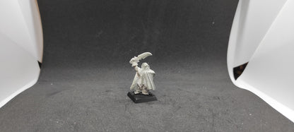 (1) Assassin Metal Hero Dark Elves Warhammer Fantasy Miniatures -2044-
