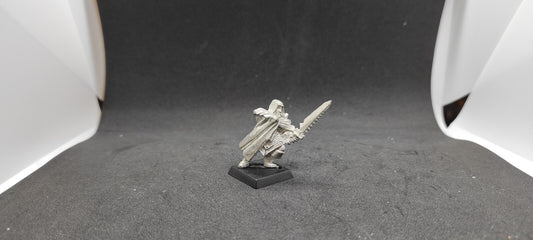 (1) Assassin Metal Hero Dark Elves Warhammer Fantasy Miniatures -2045-