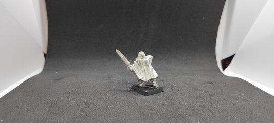 (1) Assassin Metal Hero Dark Elves Warhammer Fantasy Miniatures -2045-