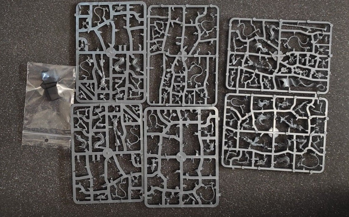 (10) Witch Elves Aelves Daughters of Khaine Dark Elves Warhammer Fantasy Miniatures -1670-