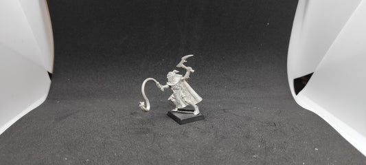 (1) Assassin Beastmaster Converted Dark Elves Warhammer Fantasy Miniatures -2048-