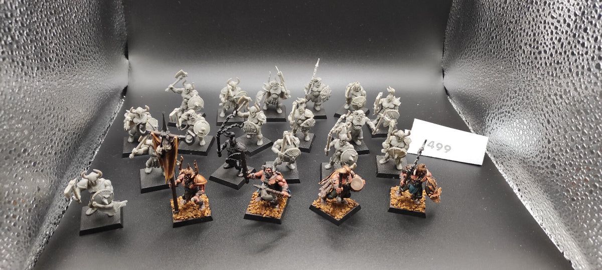 (21) Chaos Marauders Warriors of Chaos Warhammer Fantasy Miniatures -2458-