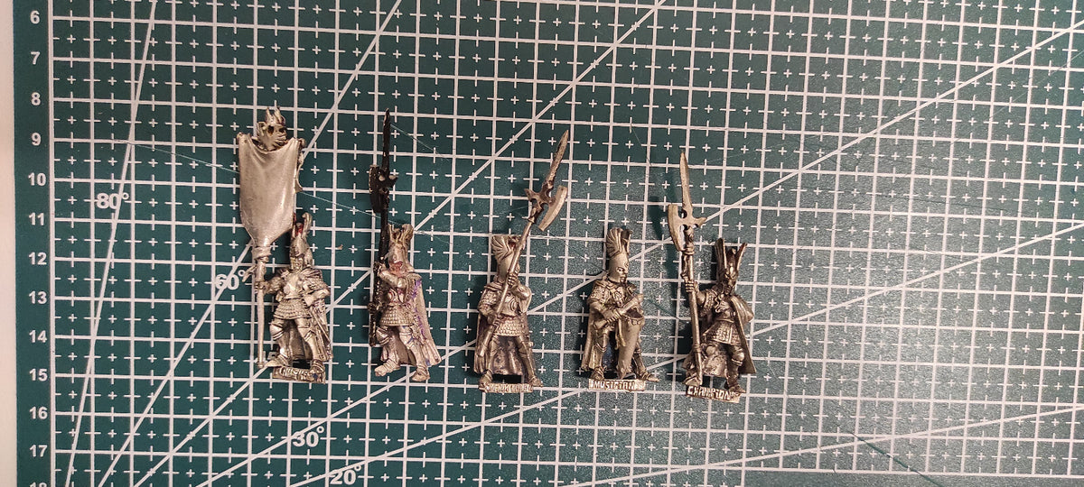 (5) Phoenix Guard CMD KL High Elves Warhammer Fantasy Miniatures -2313-