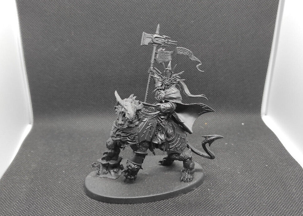 (1) Lord-Celestant on Dracoth Stormcast AoS Stormcast Eternals Warhammer Age of Sigmar Miniatures -1763-