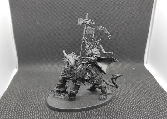 (1) Lord-Celestant on Dracoth Stormcast AoS Stormcast Eternals Warhammer Age of Sigmar Miniatures -1763-