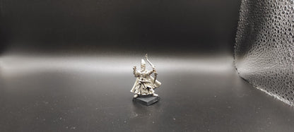 (1) High Elf Prince Hero KL High Elves Warhammer Fantasy Miniatures -2316-