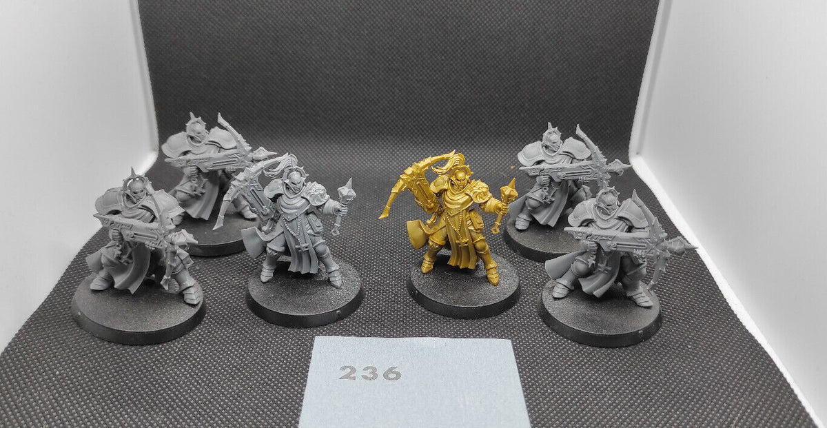 (6) Castigators Stormcast Eternals AoS Warhammer Age of Sigmar Miniatures -1768-