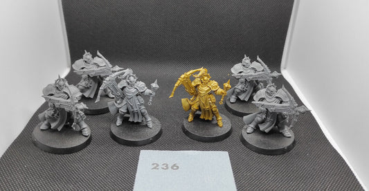 (6) Castigators Stormcast Eternals AoS Warhammer Age of Sigmar Miniatures -1768-