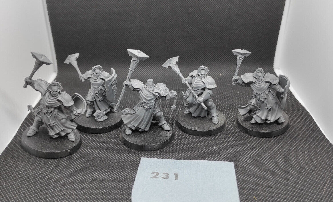 (5) Sequitors Stormcast Eternals AoS Warhammer Age of Sigmar Miniatures -1774-