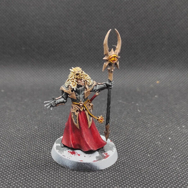 (1) Chaos Sorcerer Slaves to Darkness Warhammer Age of Sigmar Miniatures -1335-