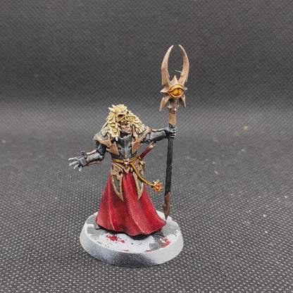 (1) Chaos Sorcerer Slaves to Darkness Warhammer Age of Sigmar Miniatures -1335-