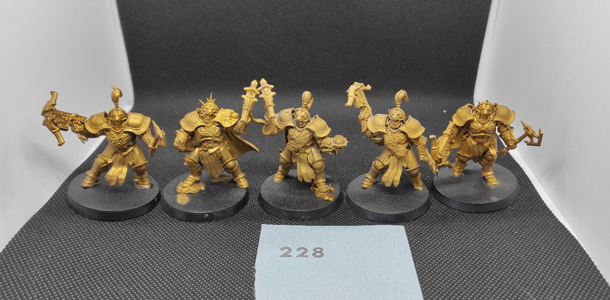 (5) Vanguard-Hunters Stormcast Eternals AoS Warhammer Age of Sigmar Miniatures -1789-