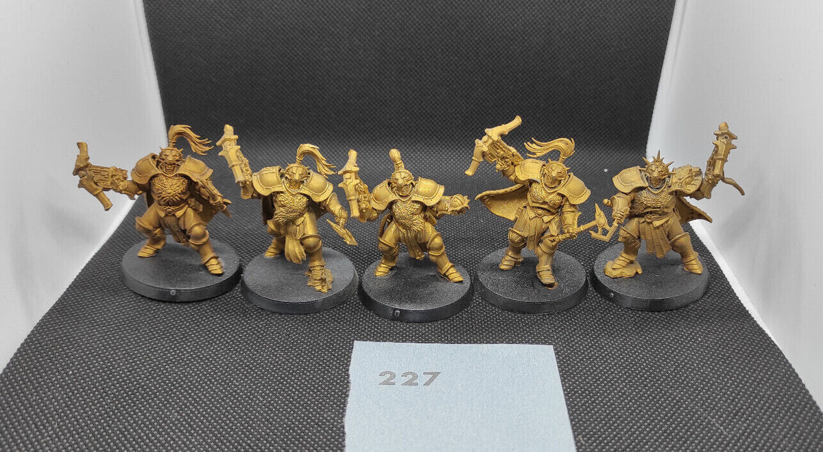 (5) Vanguard-Hunters Stormcast Eternals AoS Warhammer Age of Sigmar Miniatures -1790-