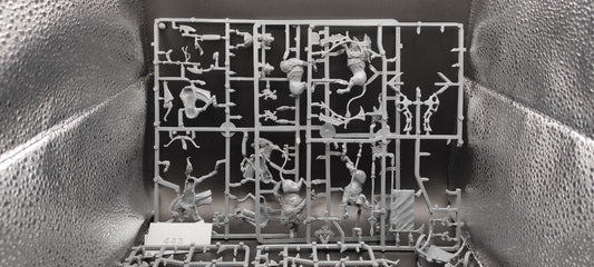 (1) Lion Tiranoc Chariot KIT High Elves Warhammer Fantasy Miniatures -2339-