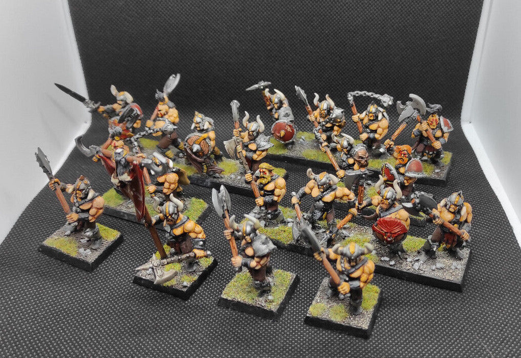 (20) Chaos Marauders Painted Warriors of Chaos Warhammer Fantasy Miniatures -1342-
