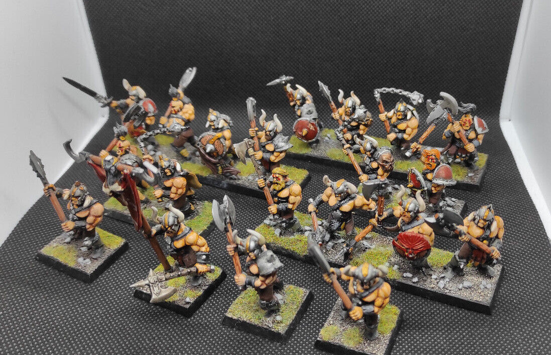 (20) Chaos Marauders Painted Warriors of Chaos Warhammer Fantasy Miniatures -1342-