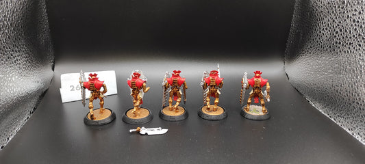 (5) Lychguard Necrons Warhammer 40k -1436-