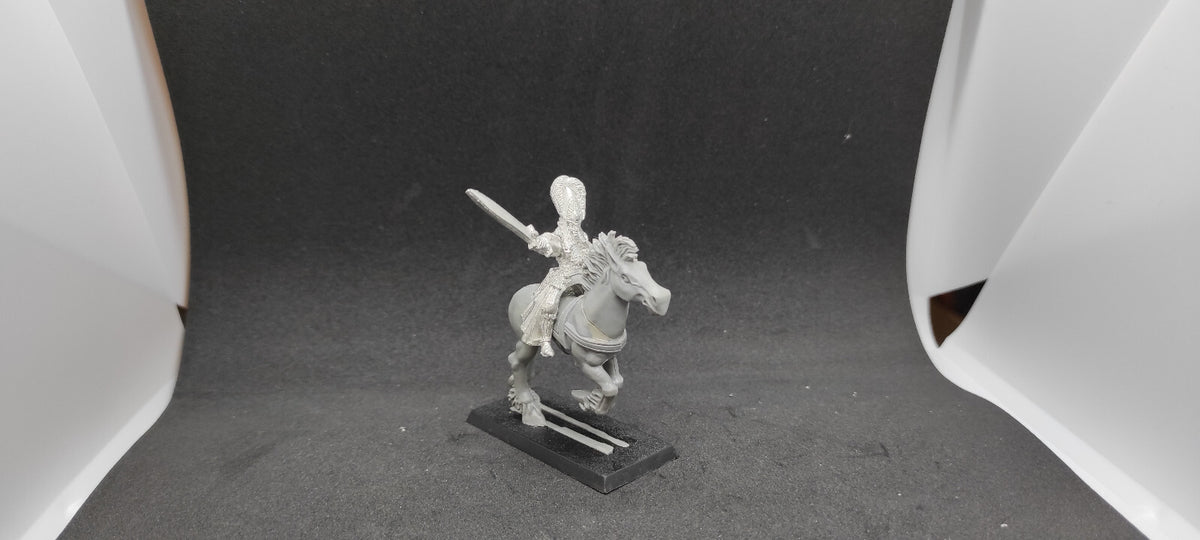 (1) Ellyrian Reaver Champion OOP High Elves Warhammer Fantasy Miniatures -2347-