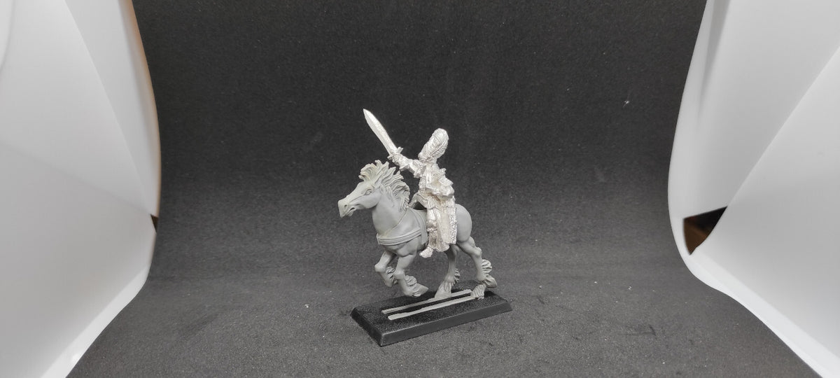 (1) Ellyrian Reaver Champion OOP High Elves Warhammer Fantasy Miniatures -2347-