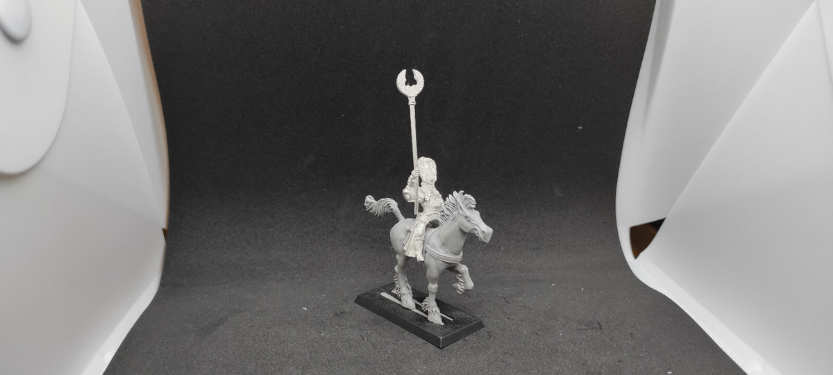 (1) Ellyrian Reaver Standard Bearer OOP High Elves Warhammer Fantasy Miniatures -2348-