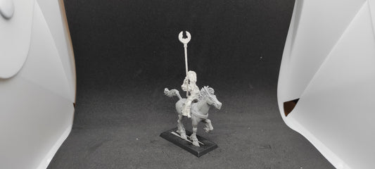 (1) Ellyrian Reaver Standard Bearer OOP High Elves Warhammer Fantasy Miniatures -2348-