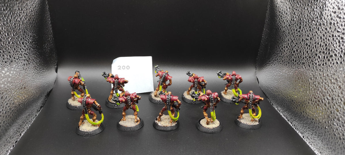 (10) Immortals Necrons Warhammer 40k -1437-