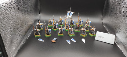 (16) Elves Spearman Guards High Elves Warhammer Fantasy Miniatures -2349-