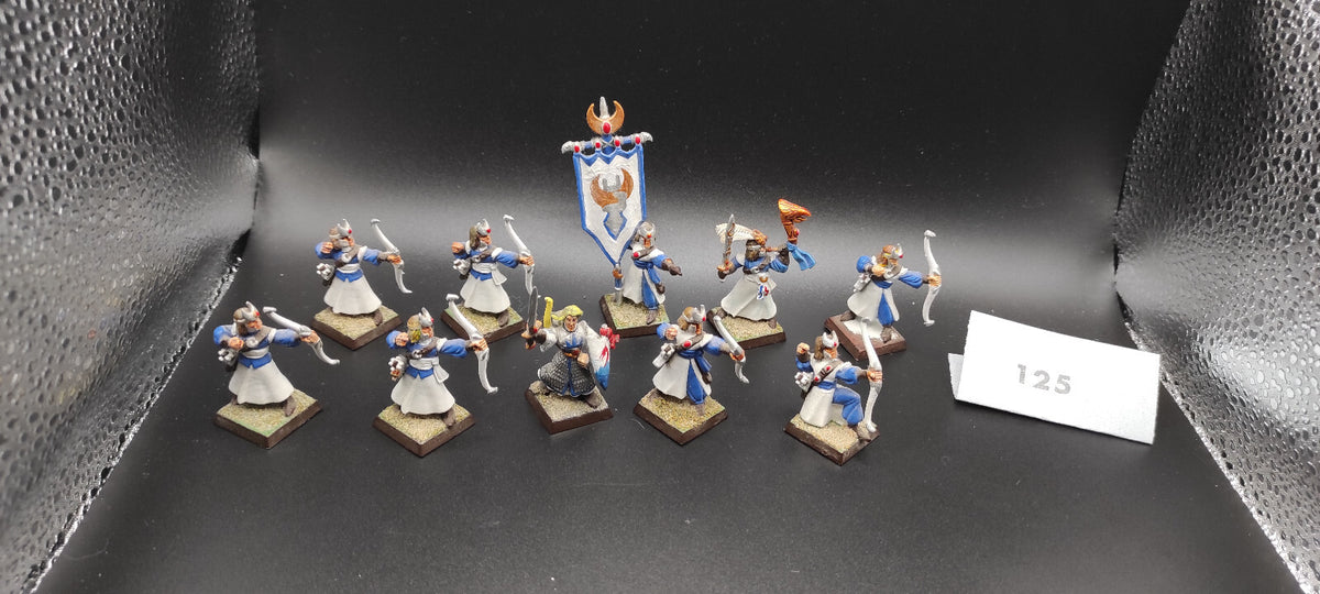 (10) Elven Archers Guard High Elves Warhammer Fantasy Miniatures -2358-
