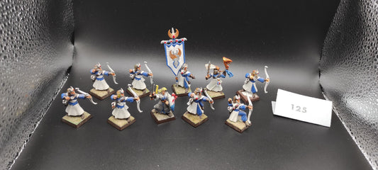 (10) Elven Archers Guard High Elves Warhammer Fantasy Miniatures -2358-