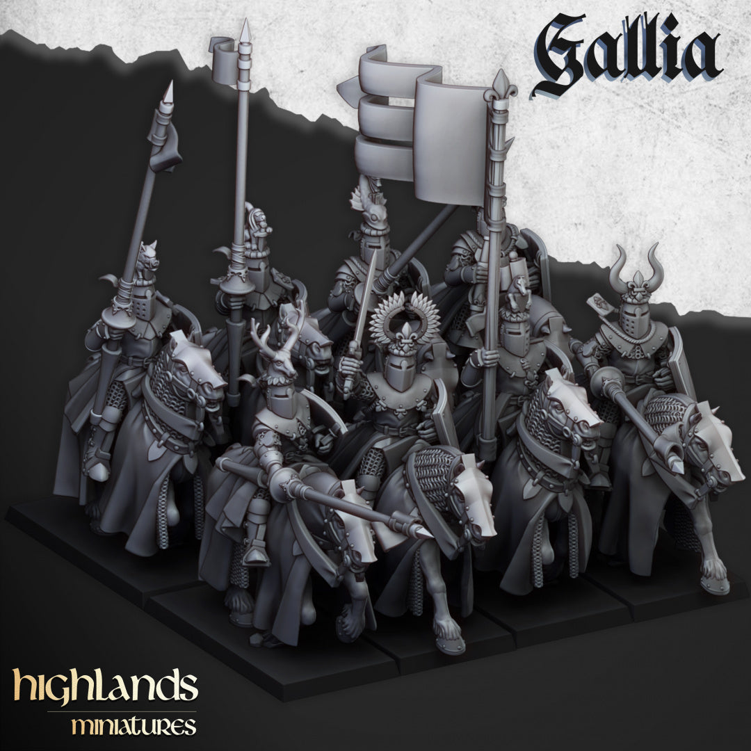 Knights of Gallia - Highlands Miniatures (5)