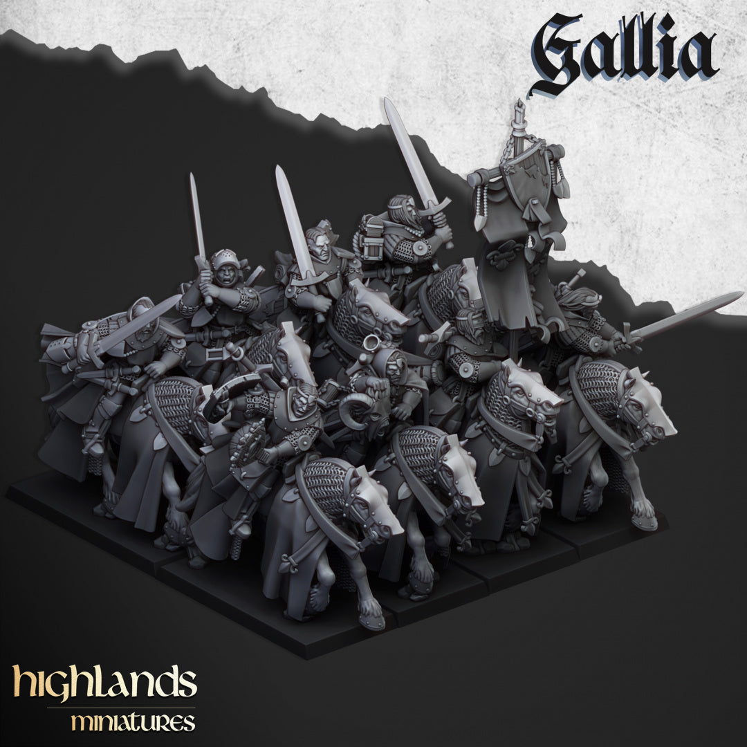 Questing Knights - Highlands Miniatures (5)