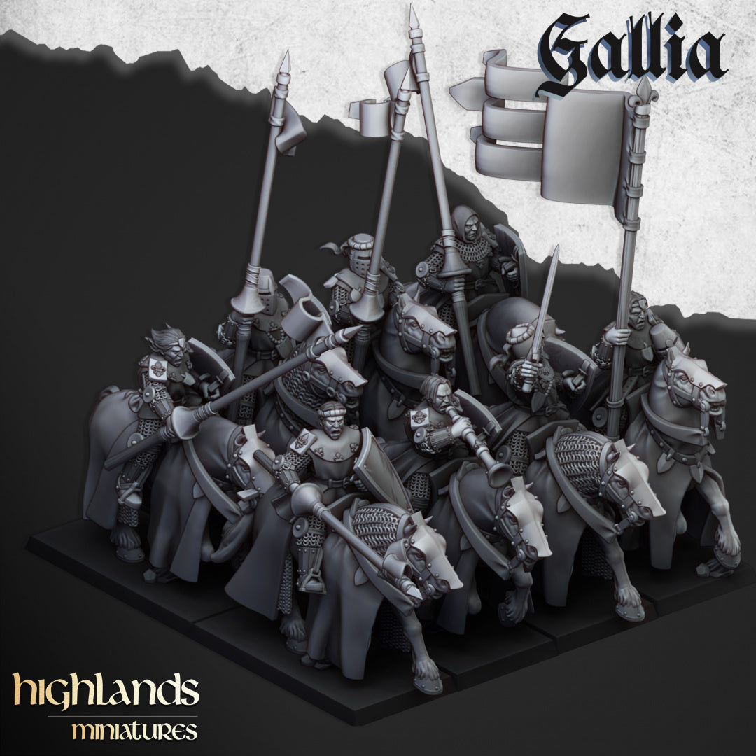 Young Knights of Gallia - Highlands Miniatures (5)