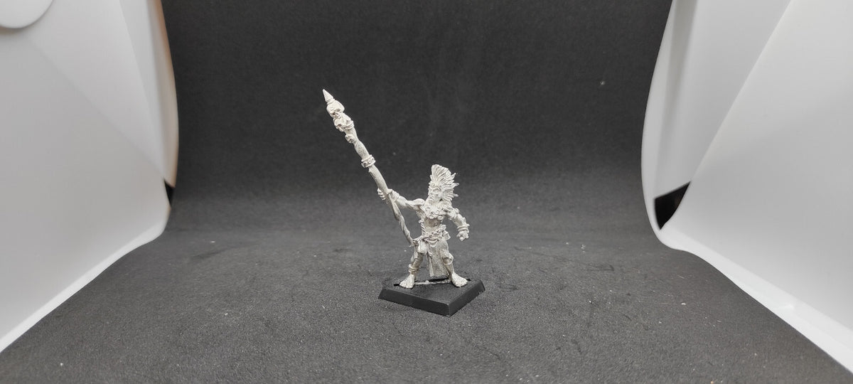 (1) Albion Truthsayer METAL OOP Warhammer Fantasy Miniatures -1819-