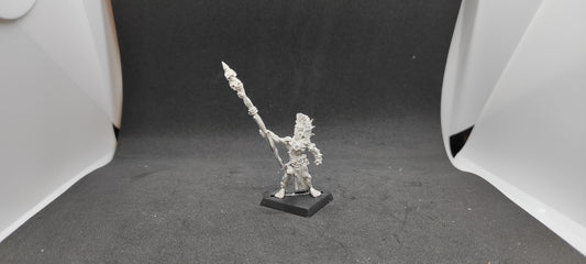 (1) Albion Truthsayer METAL OOP Warhammer Fantasy Miniatures -1819-