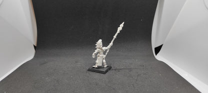 (1) Albion Truthsayer METAL OOP Warhammer Fantasy Miniatures -1819-