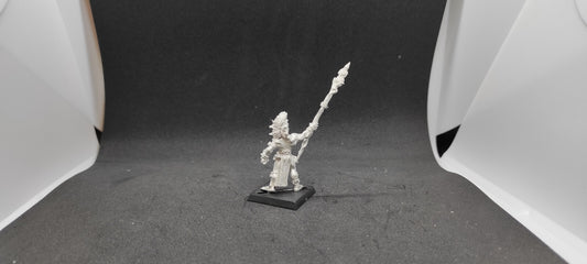 (1) Albion Truthsayer METAL OOP Warhammer Fantasy Miniatures -1819-