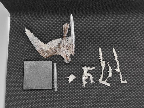 (1) Wood Elves Warhawk Rider Metal OOP Warhammer Fantasy Miniatures -1868-